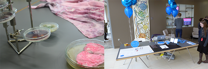 experiences_0005_Layer-4