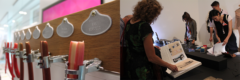 experiences_0007_Layer-1